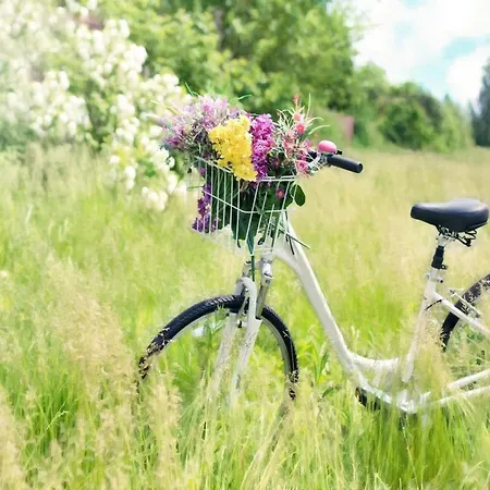 Right By The Sea, Apartment *